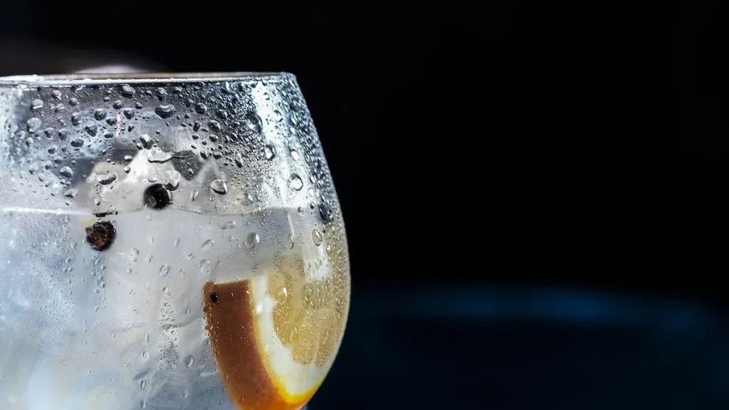 Historia Gin & Tonic